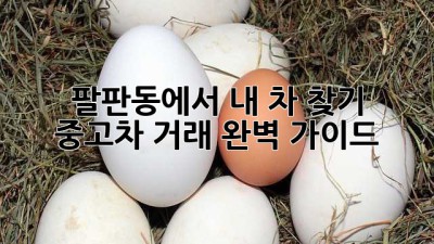 팔판동에서 내 차 찾기! 🚗💨 중고차 거래 완벽 가이드