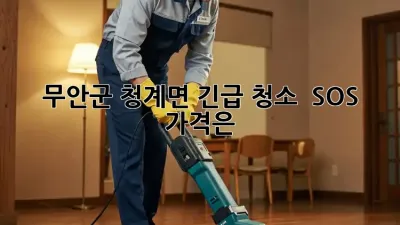 무안군 청계면 긴급 청소 🚨 SOS! 가격은?